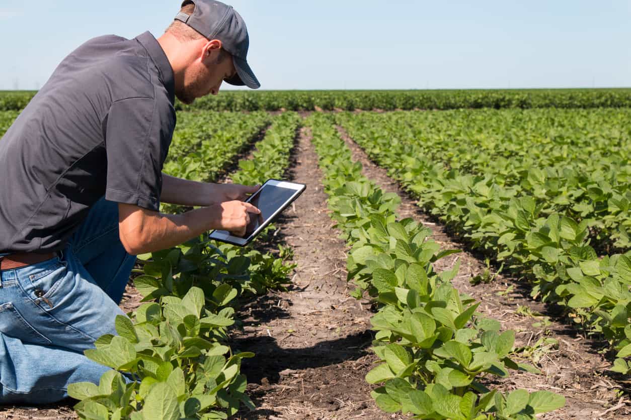 Crop Calendars Go Digital: Using Spreadsheets in Agriculture